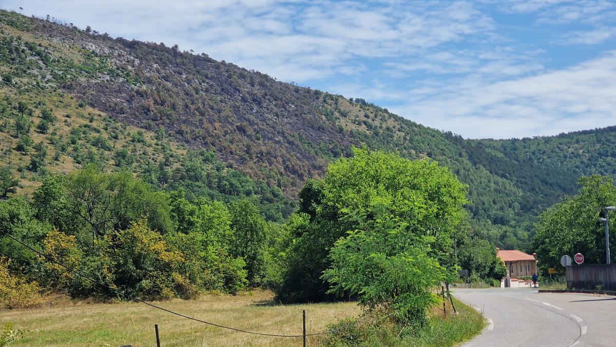 Pogled na požarišče iz MOL-ove črpalke